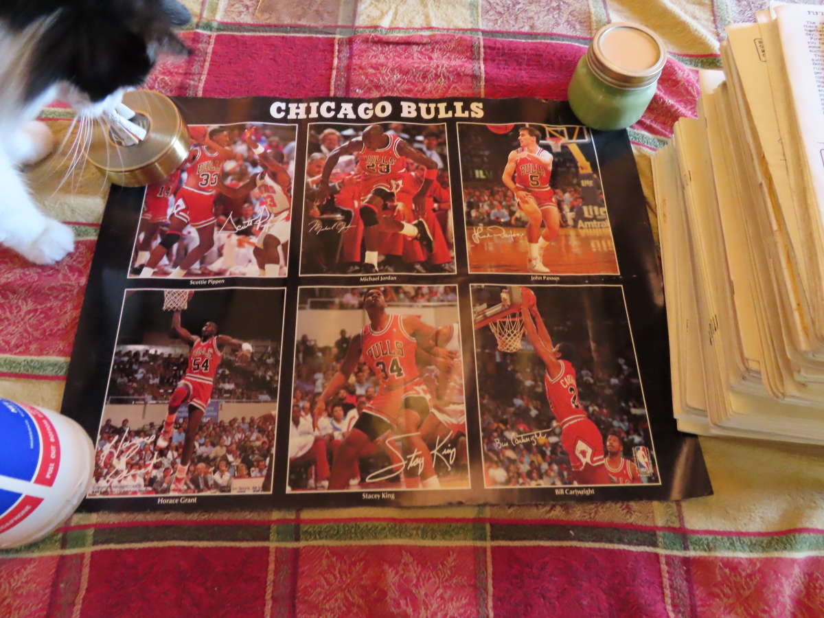 Michael Jordan Chicago Bulls Marketcom 6463 poster